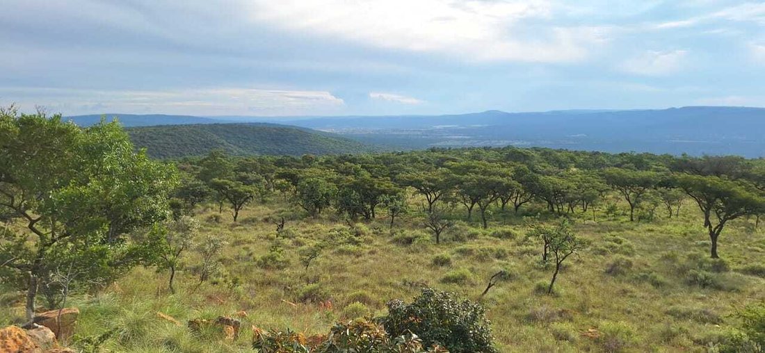 Farm Ranch in Koster, North West, South Africa 4 - 18986879