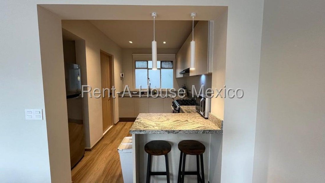 Apartment in Mexico City, Mexico 5 - 18984226