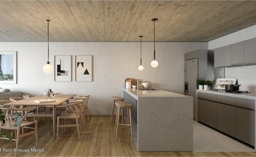 Apartment in Mexico City, Mexico 1