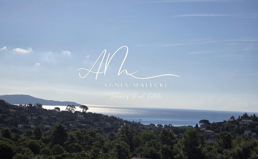 Estate in Nord, Cavalaire-sur-Mer, France 1