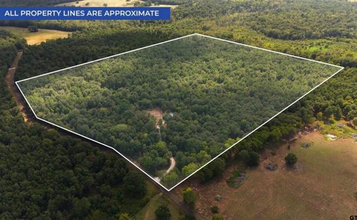 Land in Troup, Texas, United States 1