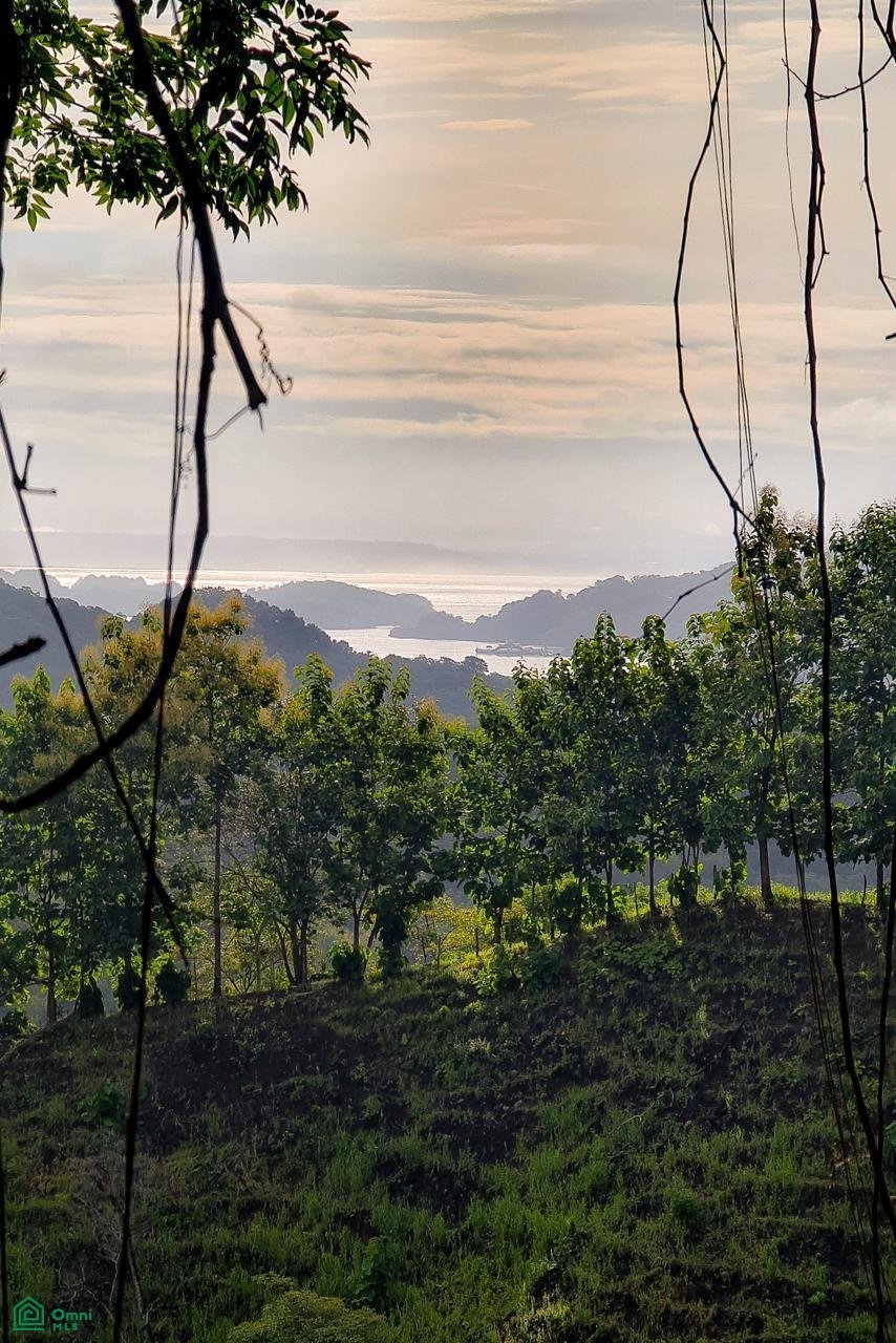Land in Paquera, Puntarenas Province, Costa Rica 4 - 17810874