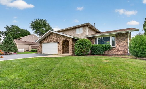 House in Naperville, Illinois, United States 1