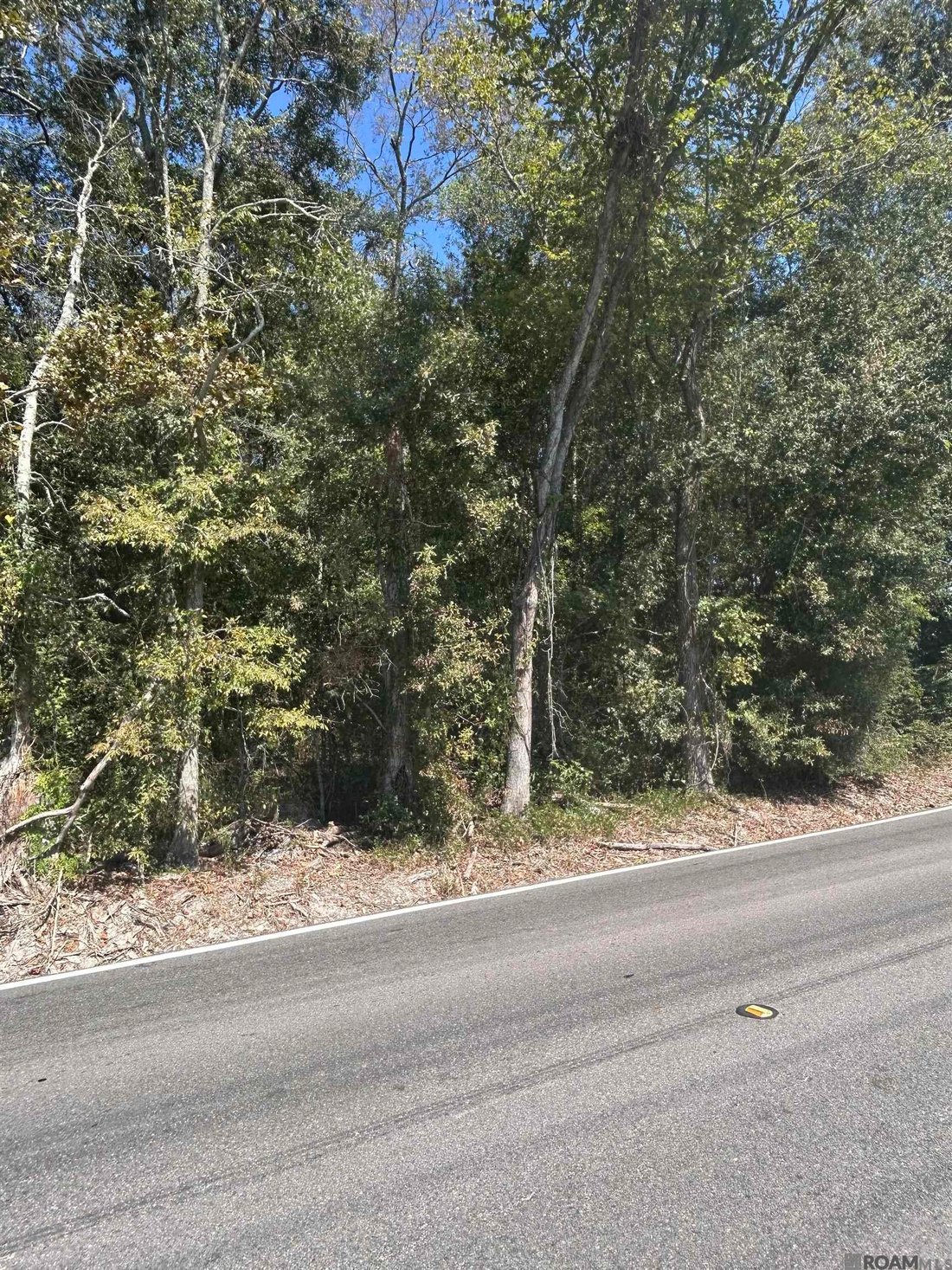Land in Prairieville, Louisiana, United States 2 - 18988891