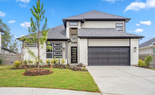 House in Conroe, Texas, United States 1