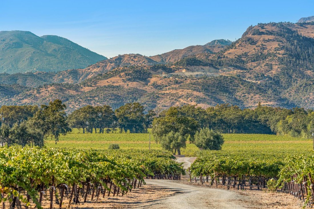 House in St. Helena, California, United States 1 - 18987001