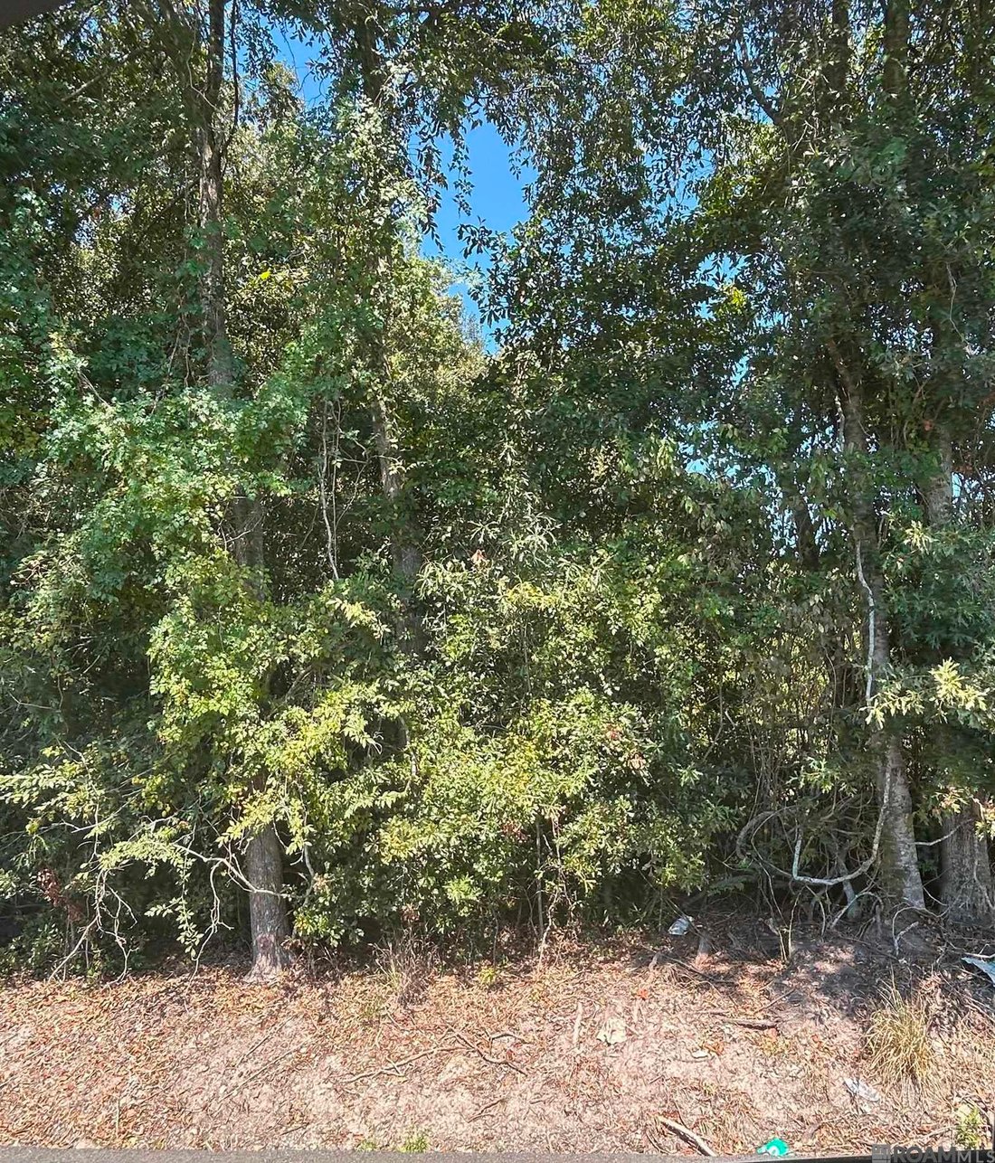 Land in Prairieville, Louisiana, United States 4 - 18988891
