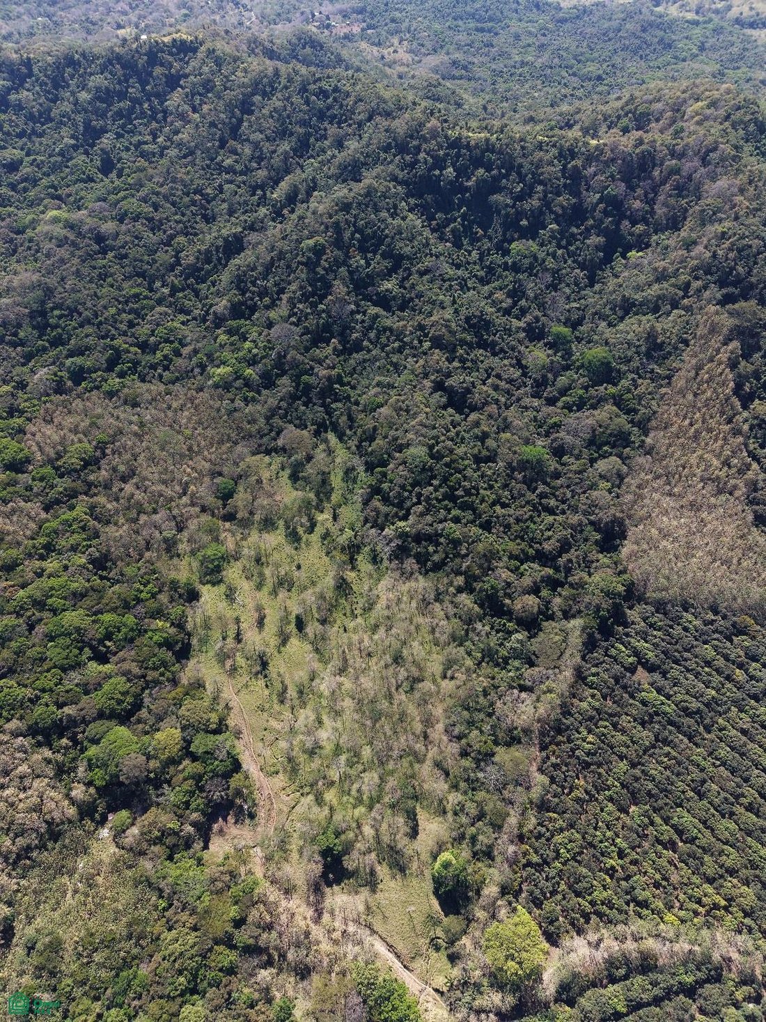 Land in Esperanza, Puntarenas Province, Costa Rica 4 - 17810865