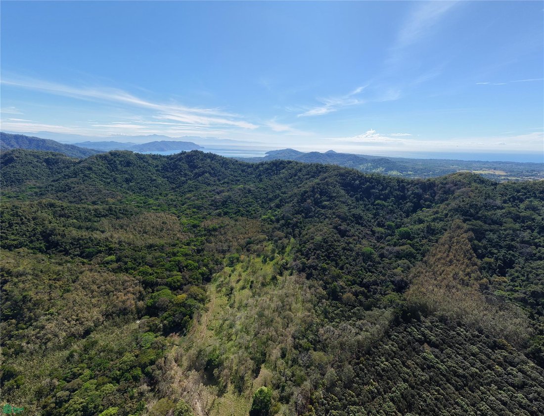Land in Esperanza, Puntarenas Province, Costa Rica 2 - 17810865