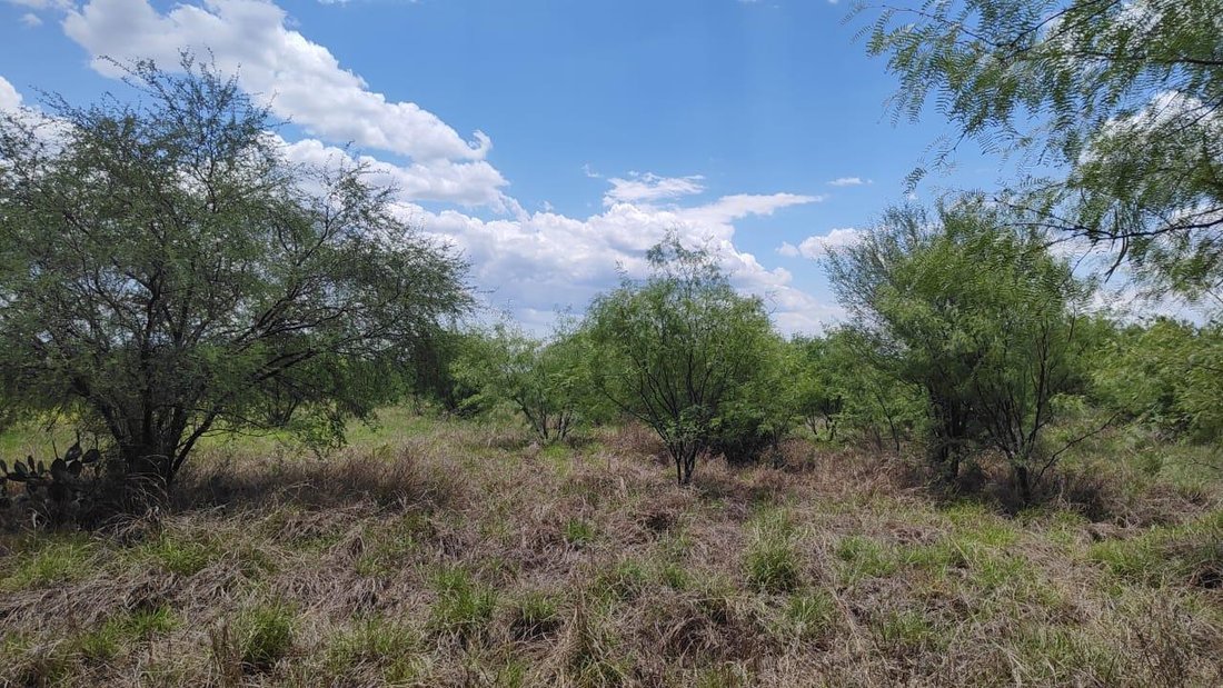Land in Ciudad Apodaca, Nuevo Leon, Mexico 5 - 18987412