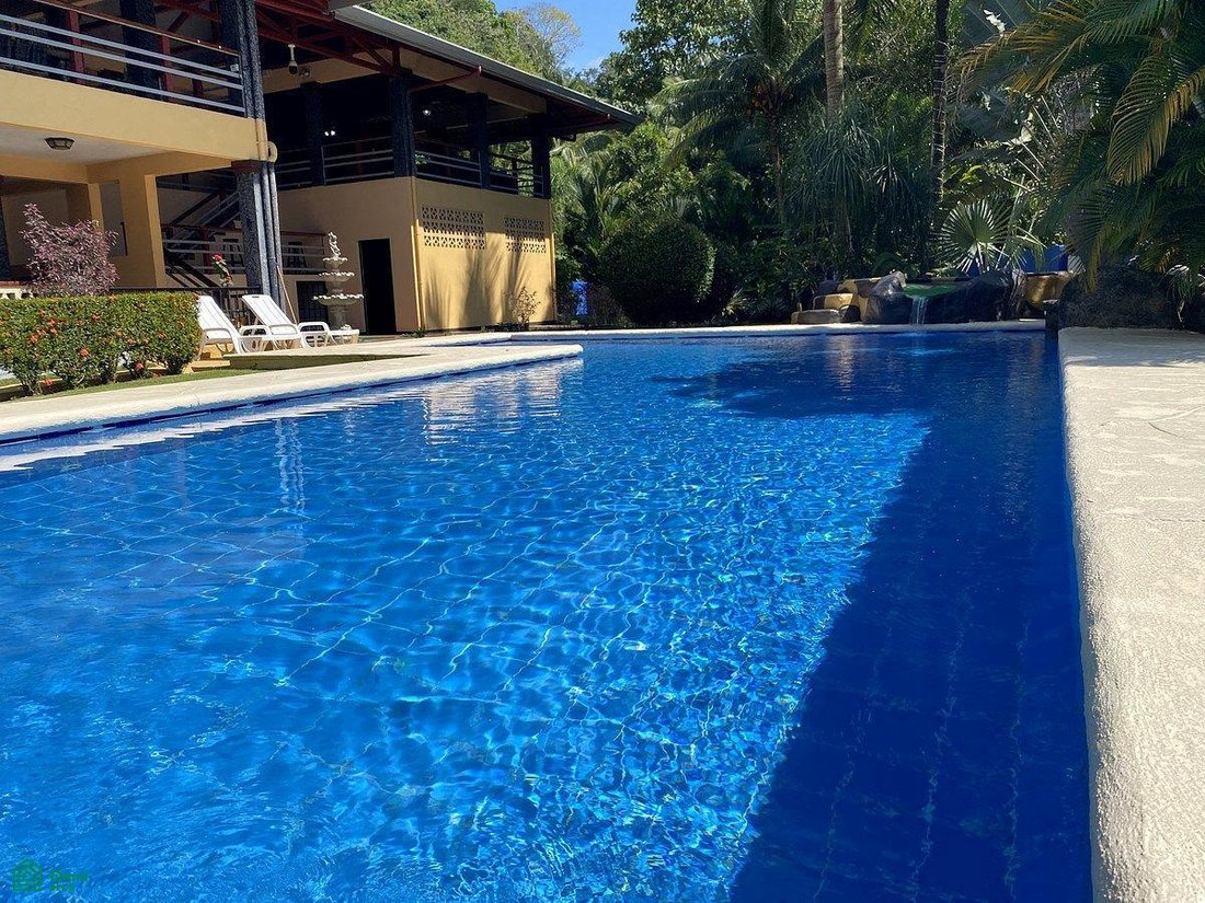 House in Golfito, Puntarenas Province, Costa Rica 5 - 17236770