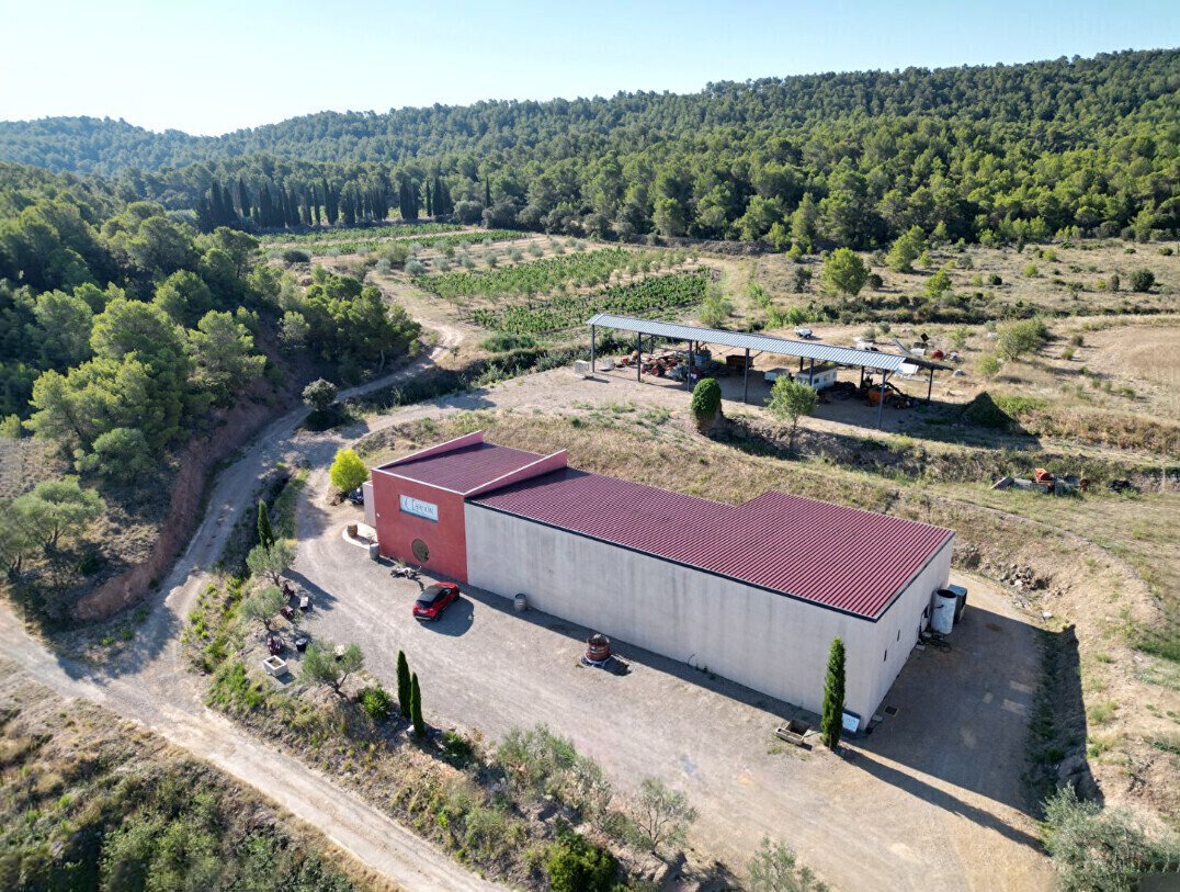Baliste, Narbonne, France 1 - 18602907