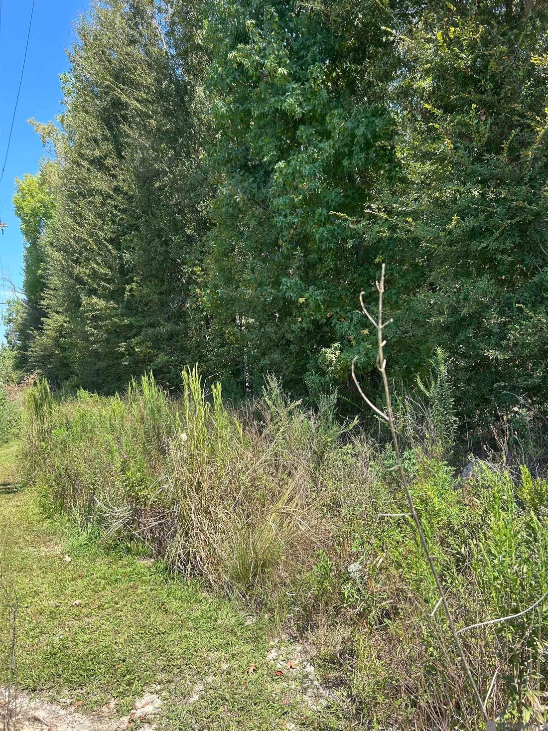Land in Prairieville, Louisiana, United States 1 - 18988891