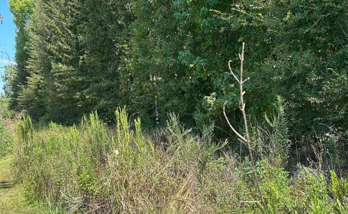 Land in Prairieville, Louisiana, United States 1