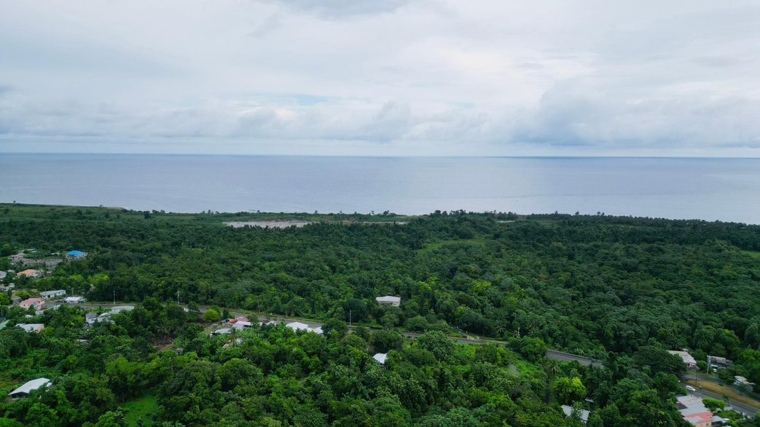 Estate in Buff Bay, Portland Parish, Jamaica 1 - 18987445