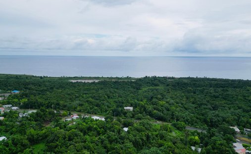 Estate in Buff Bay, Portland Parish, Jamaica 1