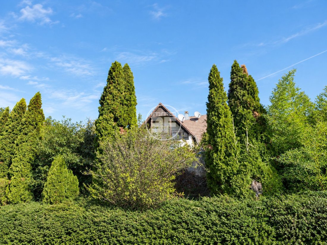 House in Liebenswiller, Grand Est, France 2 - 14933736