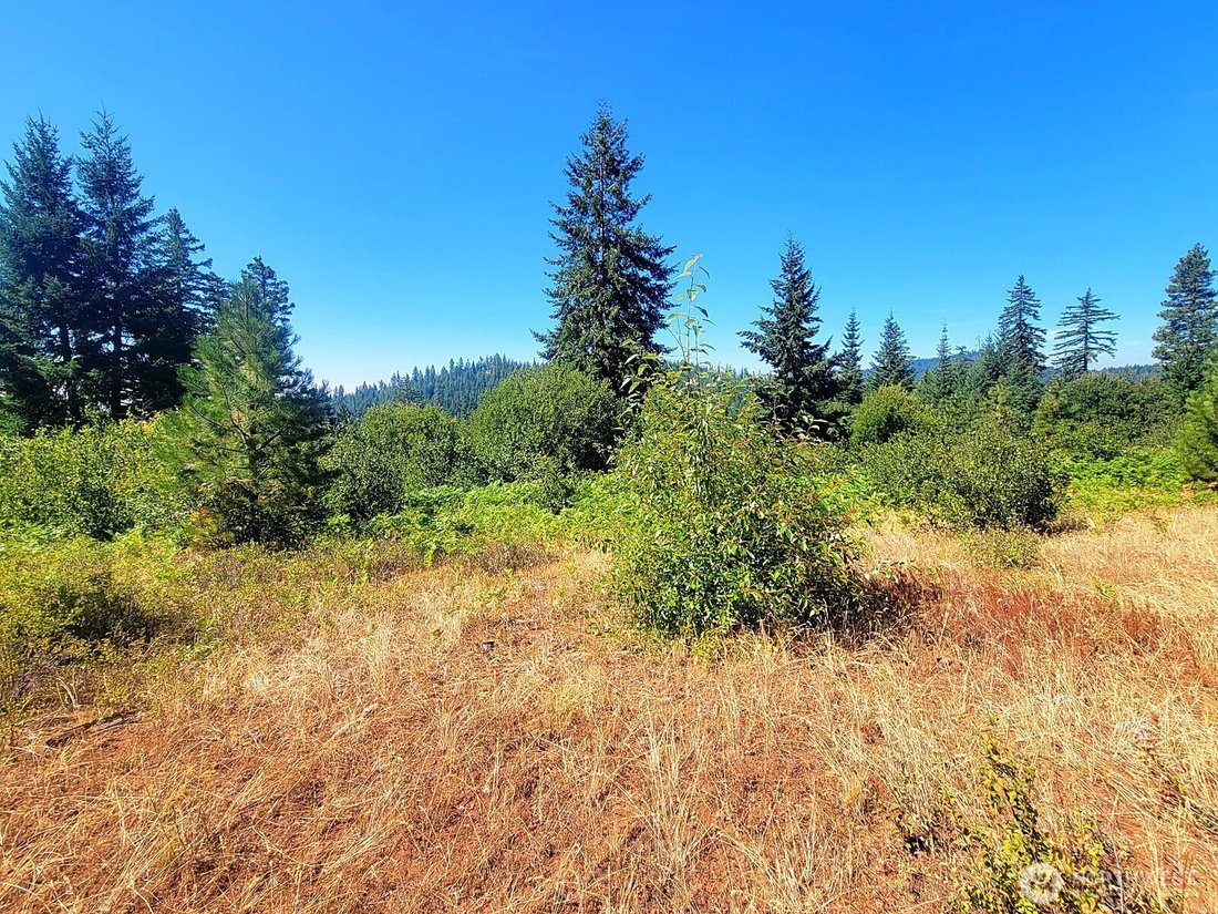 Land in Goldendale, Washington, United States 4 - 18988887