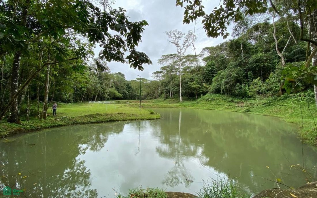 Land in Pérez Zeledón, Costa Rica 2 - 17804576