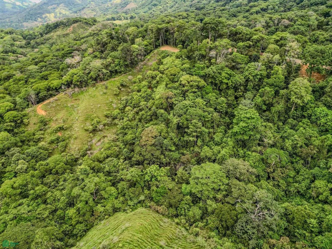 Terrain à Savegre de Aguirre, Puntarenas, Costa Rica 2 - 18592222