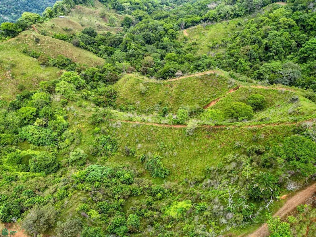 Terrain à Savegre de Aguirre, Puntarenas, Costa Rica 4 - 18592222