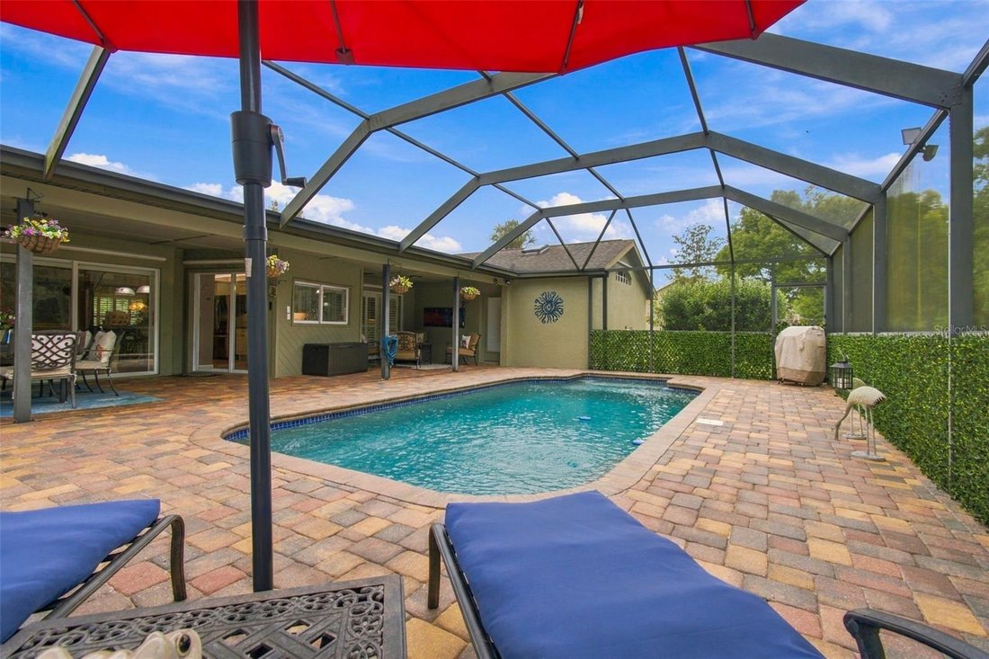 House in New Port Richey, Florida, United States 4 - 18988385