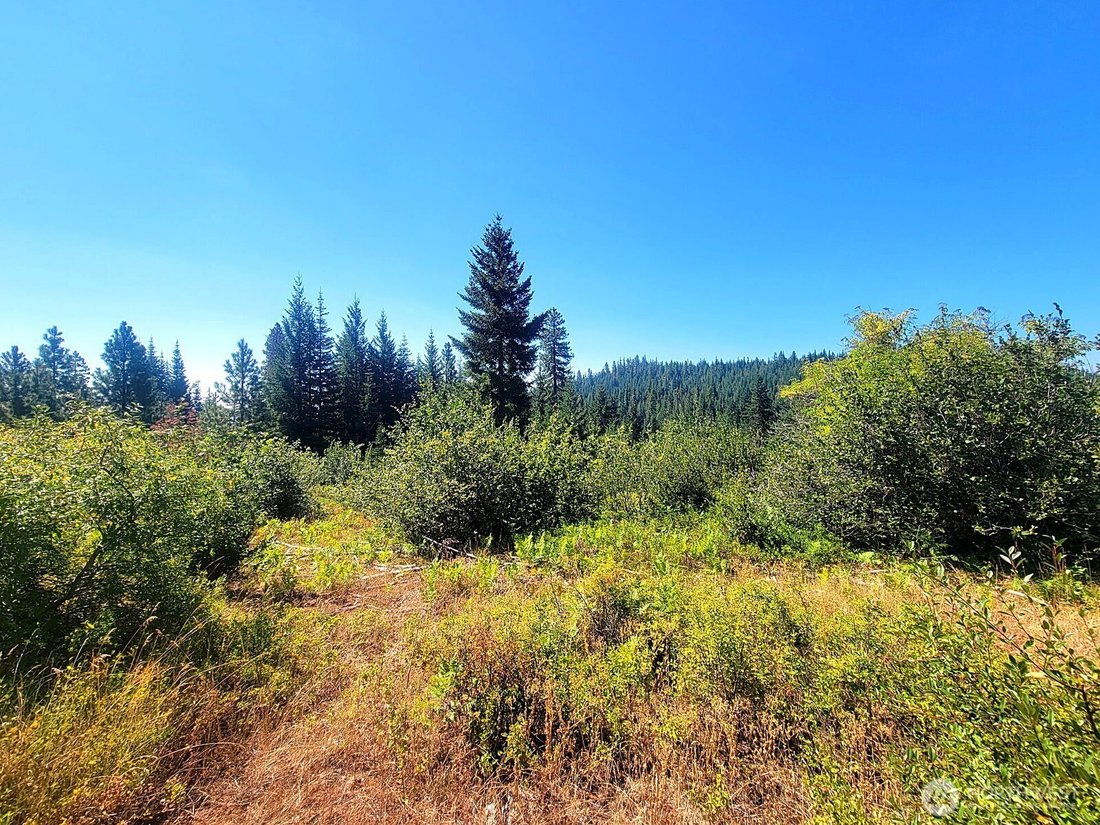 Land in Goldendale, Washington, United States 2 - 18988887