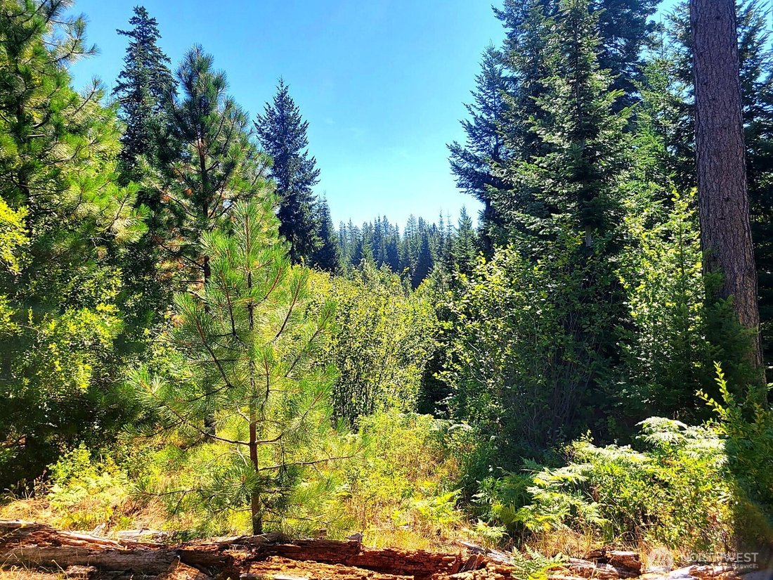 Land in Goldendale, Washington, United States 5 - 18988887
