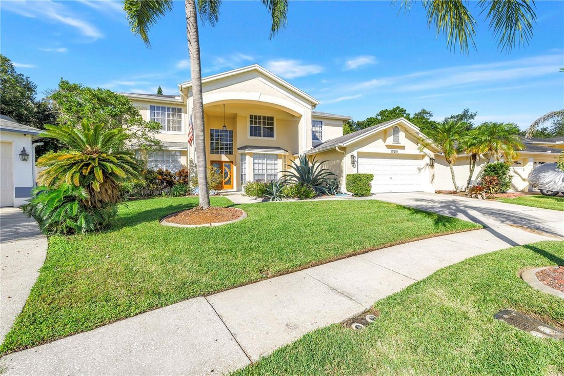 House in Tampa, Florida, United States 5 - 18988372