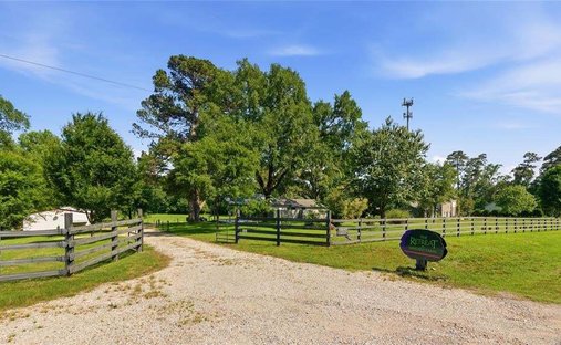 Farm Ranch in Willis, Texas, United States 1