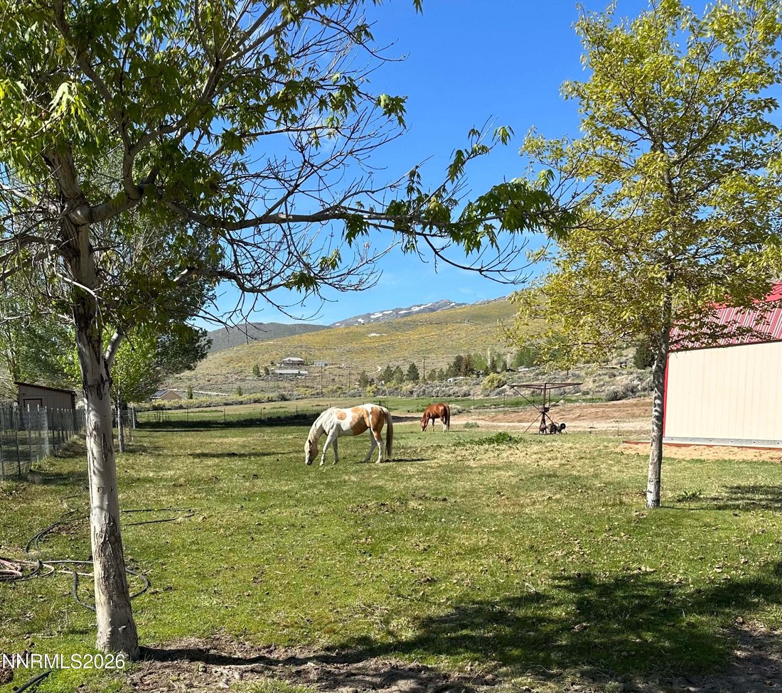 House in Reno, Nevada, United States 4 - 18988025