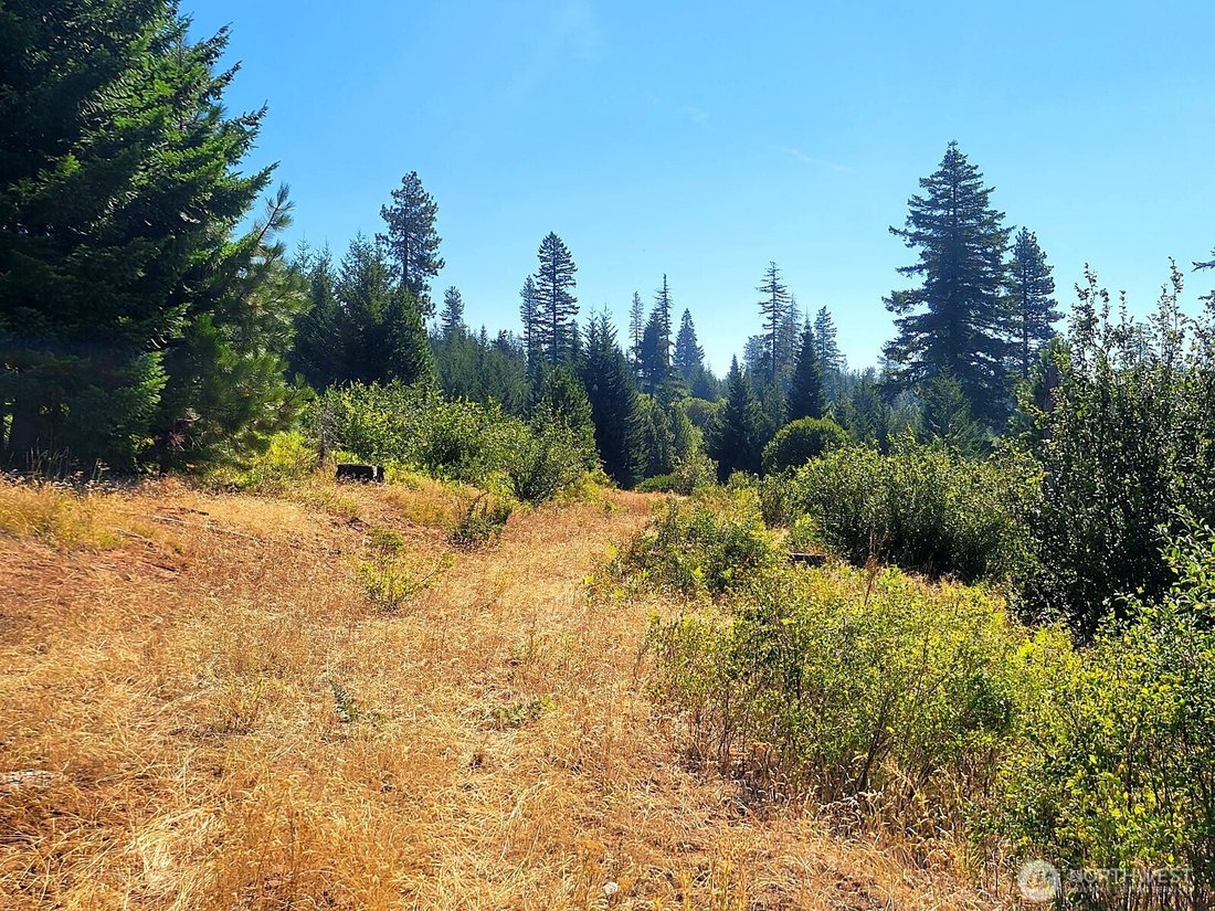 Land in Goldendale, Washington, United States 1 - 18988887