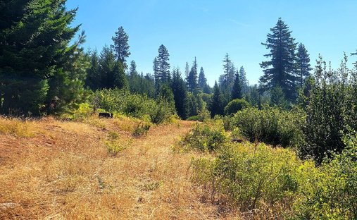 Land in Goldendale, Washington, United States 1
