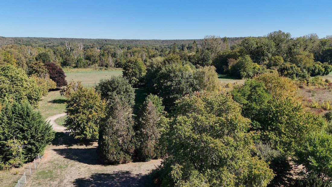 Estate in Milly-la-Forêt, Ile-de-France, France 2 - 17505463