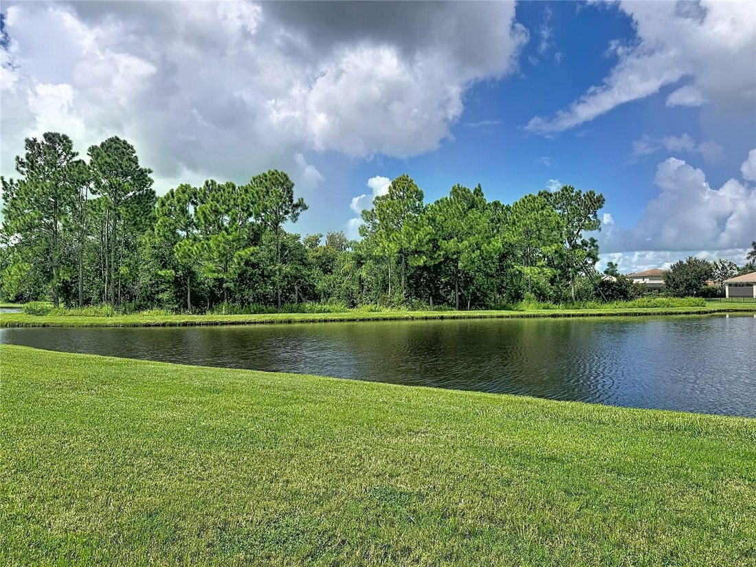 House in Bradenton, Florida, United States 3 - 18988368
