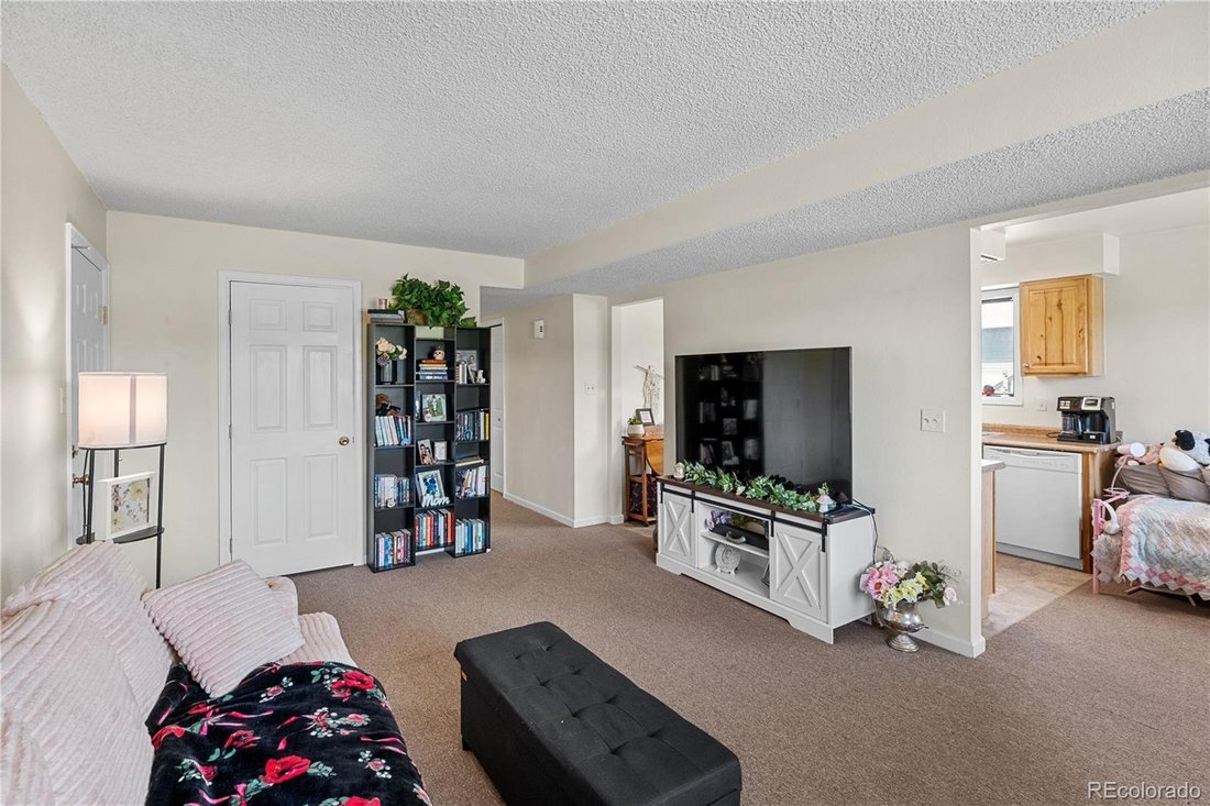 Longmont, Colorado, United States 4 - 18987905