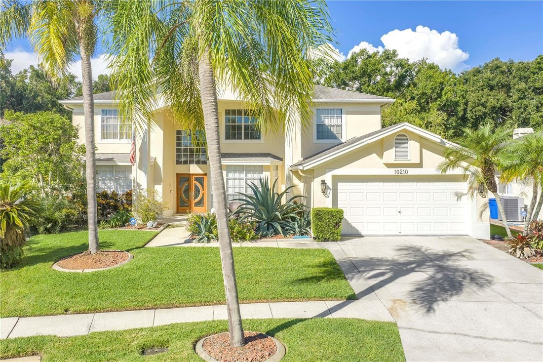 House in Tampa, Florida, United States 1 - 18988372