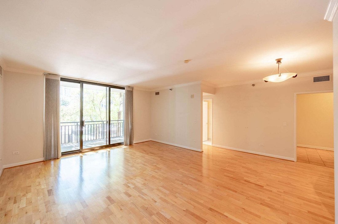 Condo in Chicago, Illinois, United States 5 - 18988205