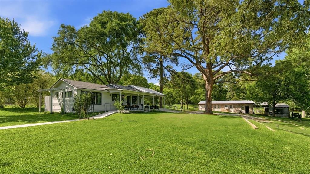Farm Ranch in Willis, Texas, United States 2 - 18988671