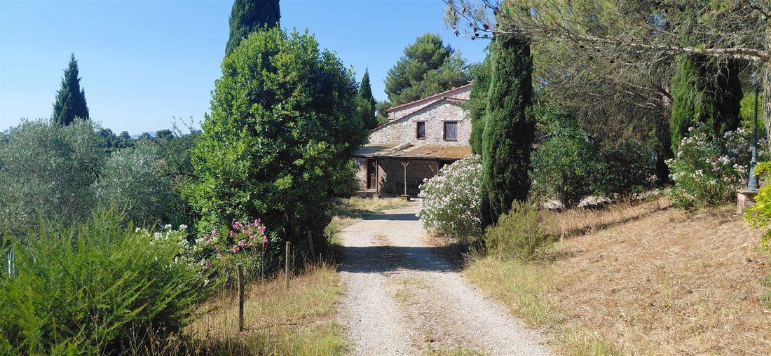 Country House in Scansano, Tuscany, Italy 3 - 18989187
