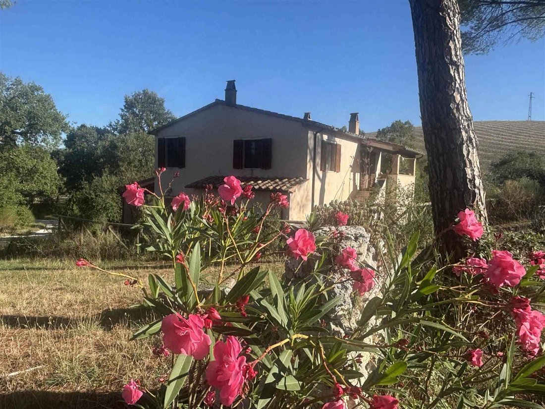 Country House in Manciano, Tuscany, Italy 1 - 18989145