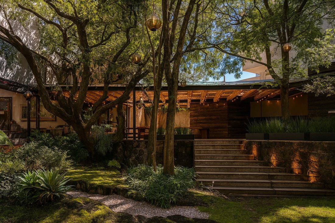 House in Mexico City, Mexico 4 - 16410594
