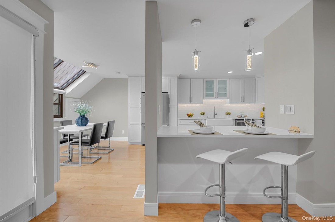 Condo in Port Washington, New York, United States 3 - 18989301