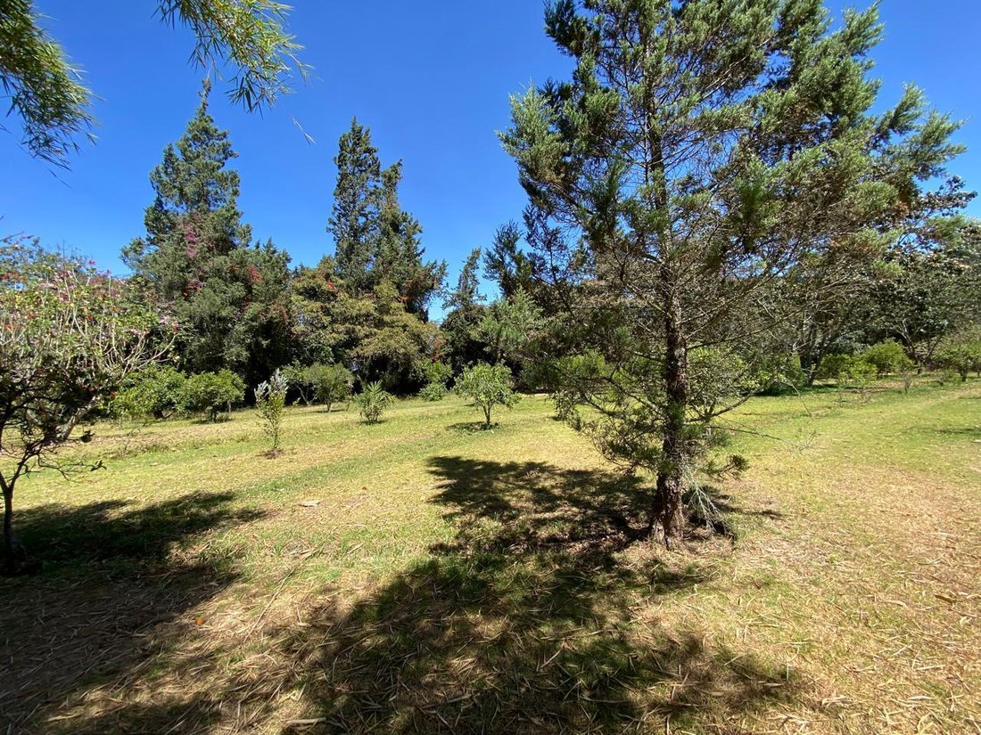 Land in Quito, Pichincha, Ecuador 5 - 18987446