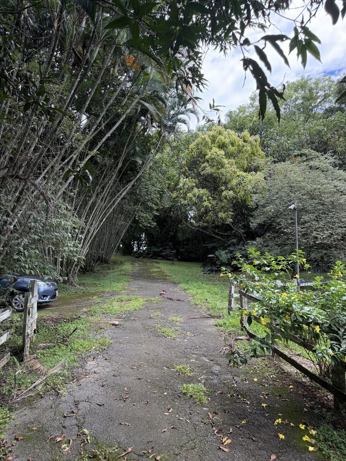Farm Ranch in Garita District, Alajuela, Alajuela Province, Costa Rica 2 - 18988772