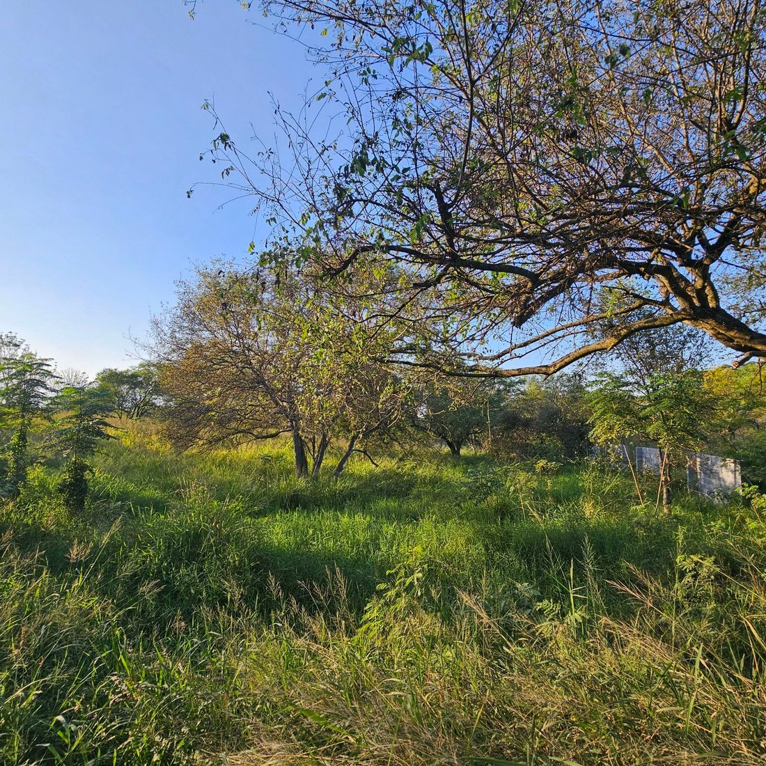 Land in Congregación Calles, Nuevo Leon, Mexico 5 - 18989279