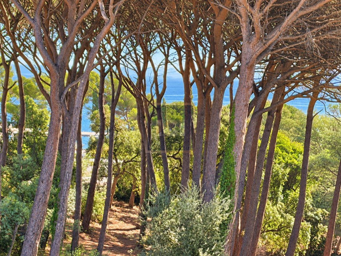 Apartment in Ville-Les Saquedes-Le Bouillonnet, Sainte-Maxime, France 2 - 18990649
