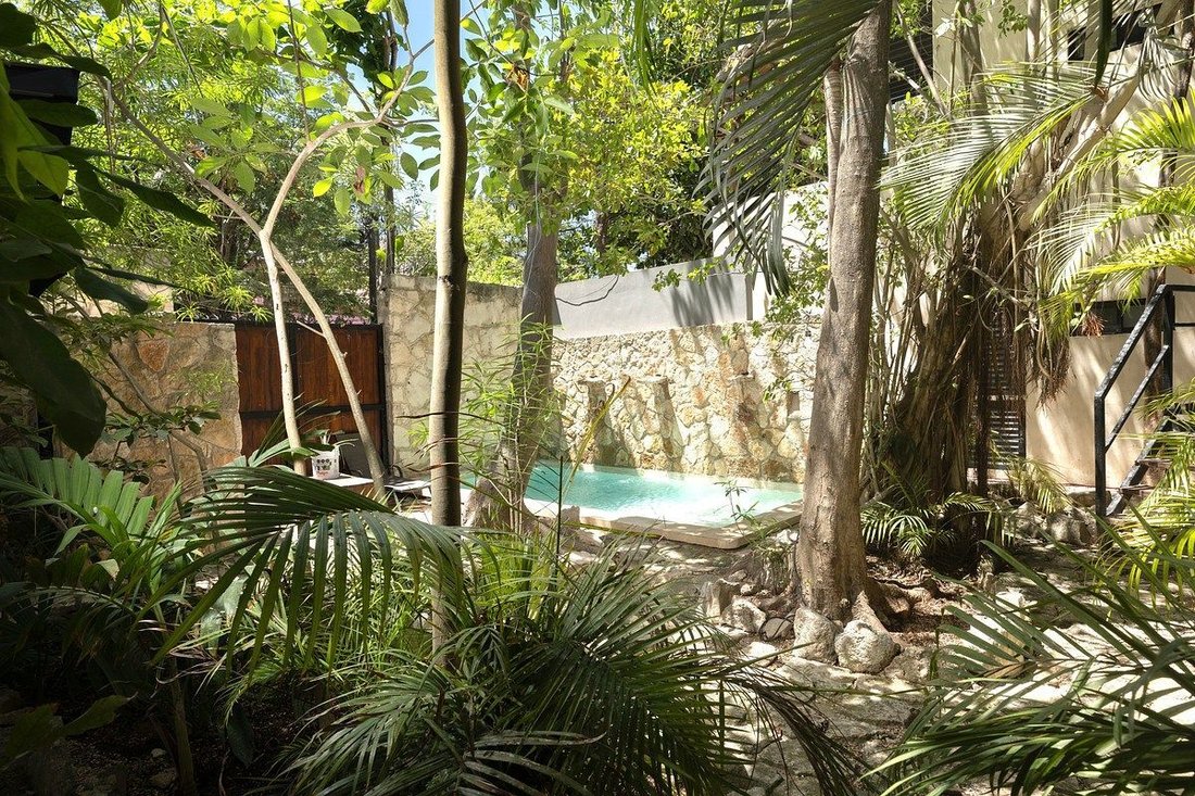 Andere in Alma Tulum Hotel, Quintana Roo, Mexiko 4 - 18815636