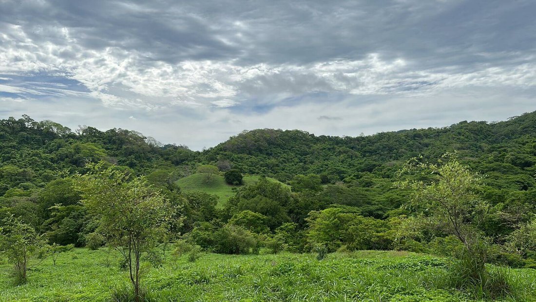 Land in Jicaral, Puntarenas Province, Costa Rica 3 - 17249953