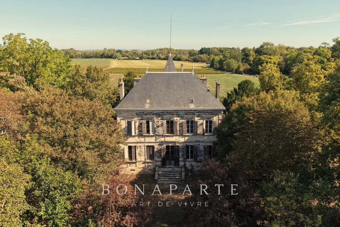 Castle in Couqueques, Nouvelle-Aquitaine, France 2 - 17477272